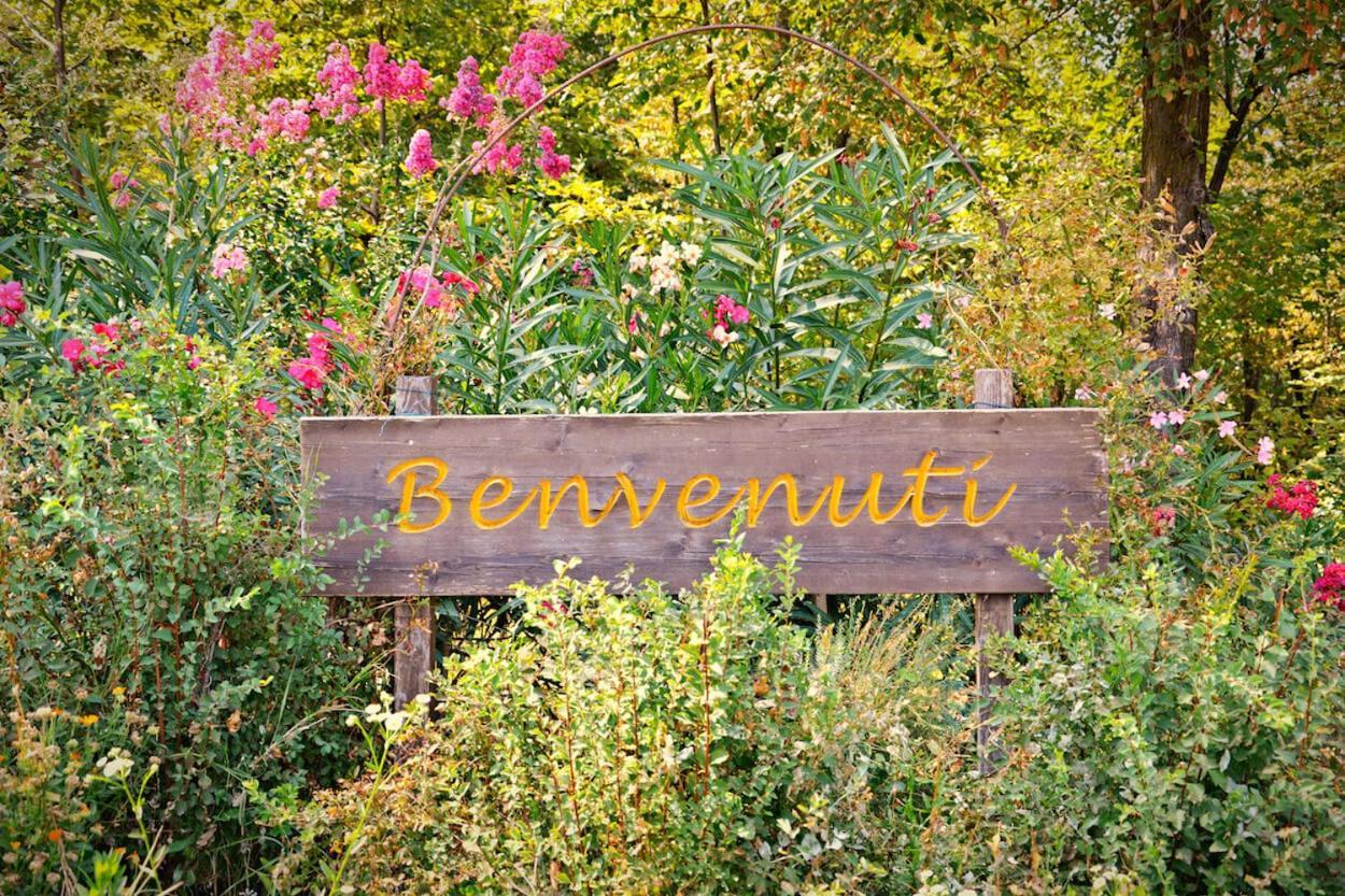 Agriturismo Il Porcellino Куинто-ди-Вальпантена Экстерьер фото